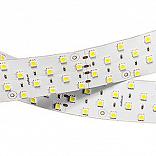 Светодиодная лента RT 2-2500 24V Warm 4x2 (5060, 400 LED, LUX) (Arlight, Открытый)