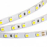 Светодиодная лента RT 2-5000 36V Cool 2x (5060, 300 LED, LUX) (Arlight, Открытый)