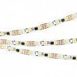 Светодиодная лента SPI-5000-AM 12V Day4000 (5060, 60 LED/m, x3) (Arlight, Открытый, IP20)