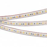 Светодиодная лента RTW 2-5000PS 12V White6000 2x (5060, 300 LED, LUX) (Arlight, 14.4 Вт/м, IP67)