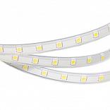 Светодиодная лента ARL-W5060PG-54-220V White 6000K (540 LED, 10m) (Arlight, Герметичный)